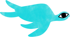 tortuga 1